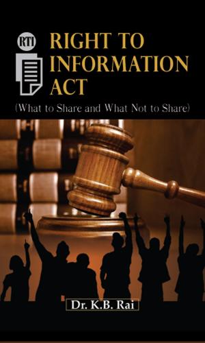 Cover of the book Right to Information by Liz Hodgkinson