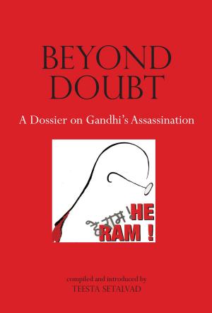 bigCover of the book Beyond Doubt by 