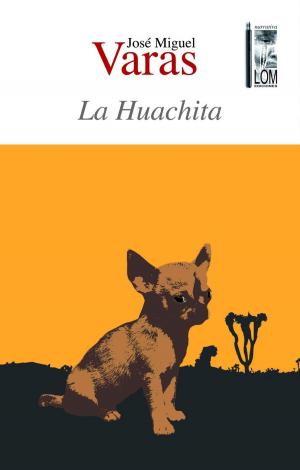 Cover of the book La Huachita by J.R. McLemore