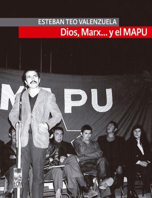 Cover of the book Dios, Marx… y el Mapu by Mario  Garcés
