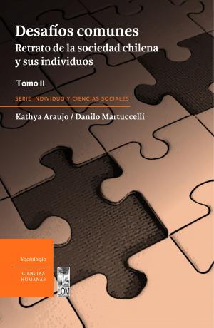 Cover of the book Desafíos comunes by Sergio Villegas