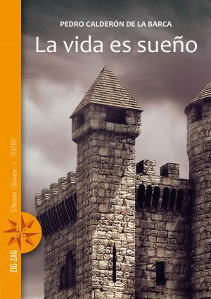 Cover of the book La vida es sueño by Jan Goldie
