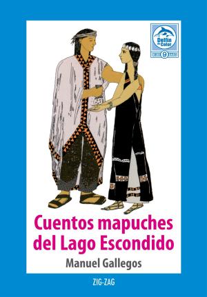 Cover of the book Cuentos mapuches del Lago Escondido by Juan Andrés Piña
