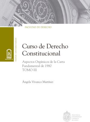 Cover of the book Curso de Derecho Constitucional by Miguel de Cervantes, Pablo  Chiuminatto