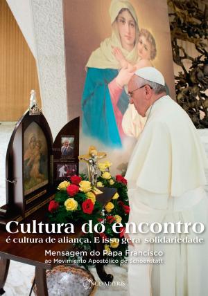Cover of the book Cultura do encontro by Monseñor Peter Wolf