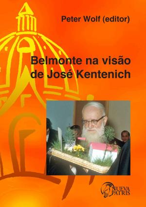 Cover of Belmonte na visão de José Kentenich
