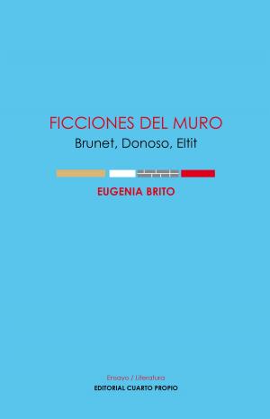 Cover of the book Ficciones del muro by Marcelo Pellegrini