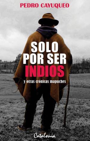 Book cover of Solo por ser indios y otras crónicas mapuches