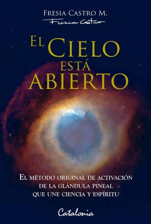 Cover of the book El cielo está abierto by Fresia Castro