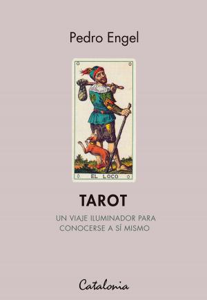 Cover of the book Tarot. Un viaje iluminador para conocerse a sí mismo by Sol Díaz
