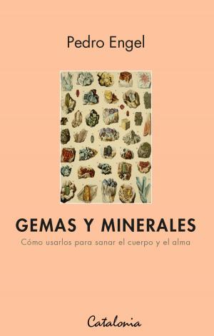 Cover of the book Gemas y minerales. Cómo usarlos para sanar el cuerpo y el alma by Pedro Engel