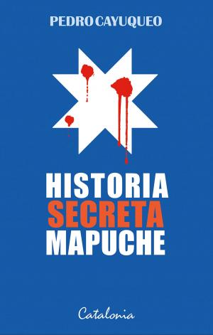Book cover of Historia secreta mapuche