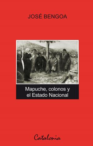 Cover of the book Mapuche, colonos y el Estado Nacional by Ángel Parra