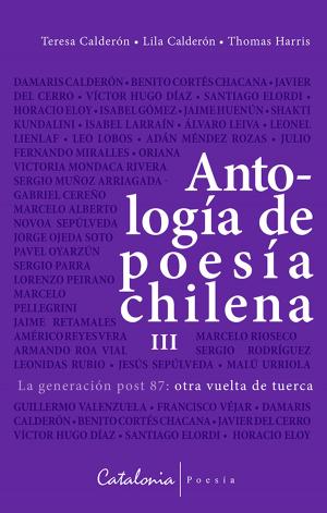 Cover of Antología de poesía chilena Vol. III