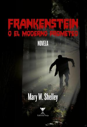 Cover of the book Frankenstein by Javier Barría