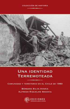 Cover of the book Una identidad terremoteada by Carolina Besoain, Patricia Guerrero, Ximena Zabala