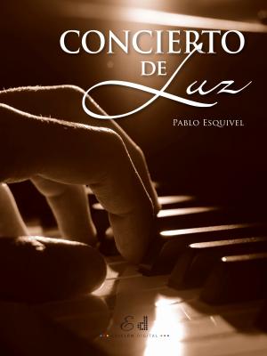Cover of the book Concierto de luz by Juan José Irigoyen Riquelme