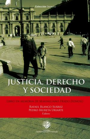 Cover of the book Justicia, derecho y sociedad by Rafael Gaune Corradi