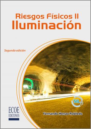 Cover of the book Riesgos fisicos II by Andrés Cisneros Enríquez