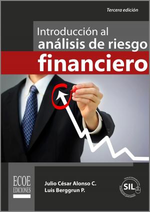 Cover of the book Introducción al análisis de riesgo financiero by Braulio Mejía García