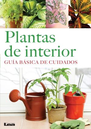 Cover of the book Plantas de interior by Martín Morón