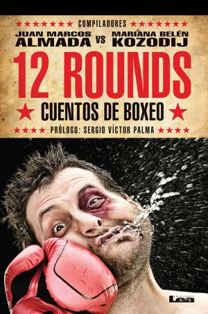 Cover of the book 12 rounds by Mónica Ponttiroli