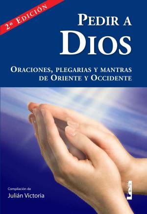 Cover of the book Pedir a Dios by Martín Morón