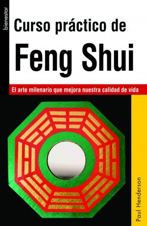 Book cover of Curso práctico de Feng Shui