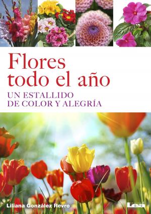 Cover of the book Flores todo el año, Un estallido de color y alegría by Walter Hugo Ghedin