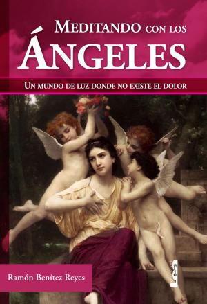 Cover of the book Meditando con los ángeles by María Nuñez Quesada