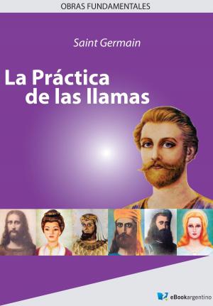 Book cover of La práctica de las llamas
