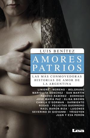 Cover of the book Amores Patrios by María de Ezcurra