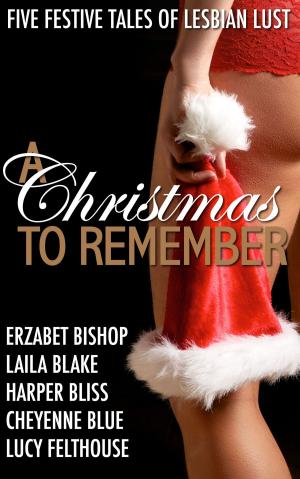 Cover of the book A Christmas to Remember by Sonora Grey