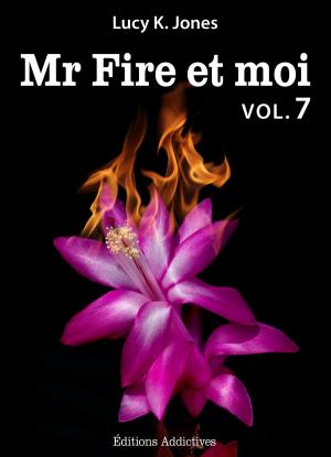 Cover of Mr Fire et moi - volume 7