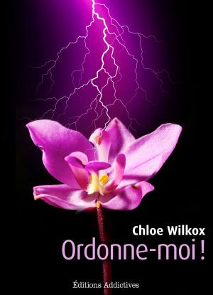Book cover of Ordonne-moi ! volume 2
