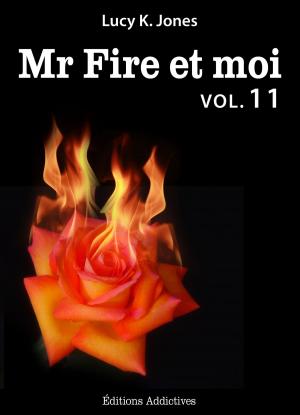 Cover of the book Mr Fire et moi - volume 11 by Emma Green