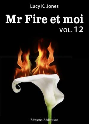 Cover of the book Mr Fire et moi - volume 12 by Jessica Lumbroso