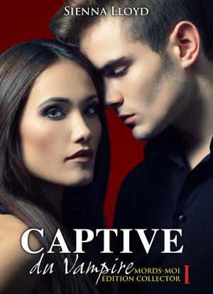 Cover of the book Captive du Vampire - vol.1 by Megan Harold