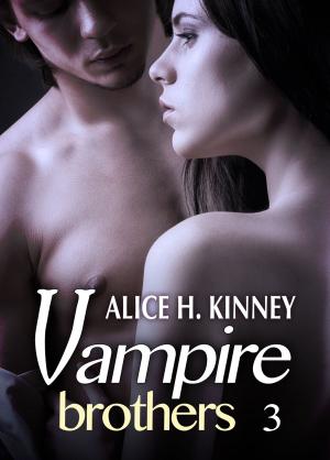 Cover of the book Vampire Brothers 3 by Rose M. Becker