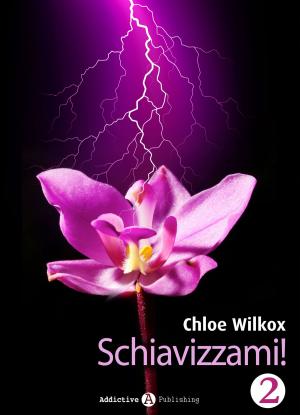 Book cover of Schiavizzami! - Volume 2