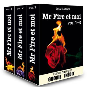 Cover of the book Mr Fire et moi - vol. 1-3 by Kate B. Jacobson