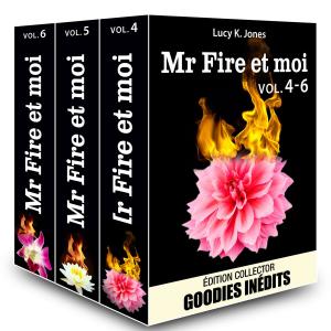 bigCover of the book Mr Fire et moi - vol. 4-6 by 