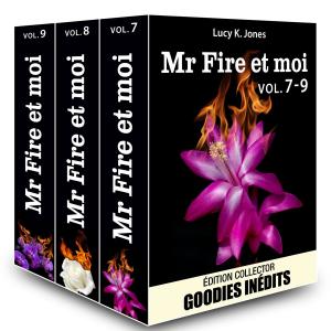 Cover of the book Mr Fire et moi - vol. 7-9 by Hannah Taylor