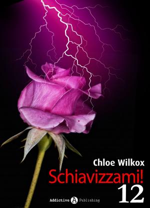 Book cover of Schiavizzami! - Volume 12