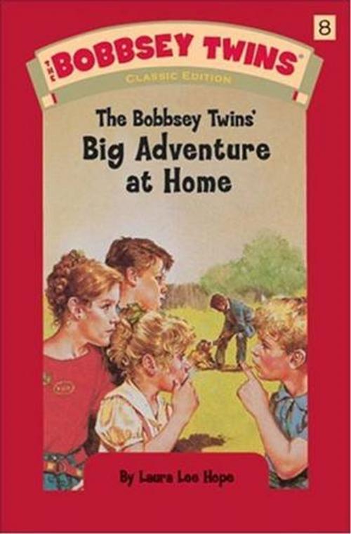 Cover of the book The Bobbsey Twins At Home by Laura Lee Hope, Gutenberg