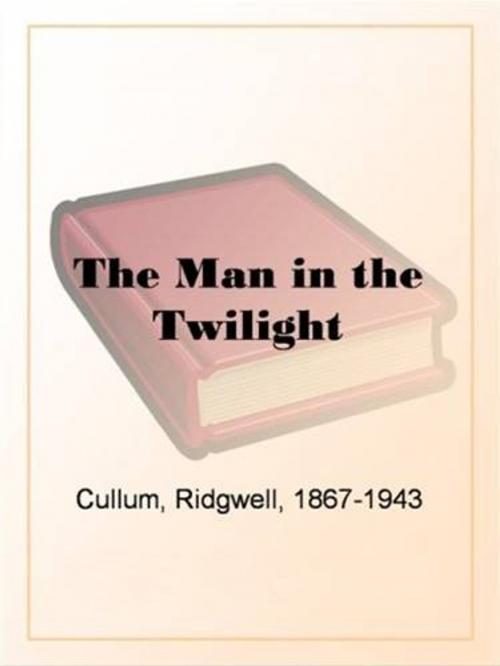 Cover of the book The Man In The Twilight by Ridgwell Cullum, Gutenberg