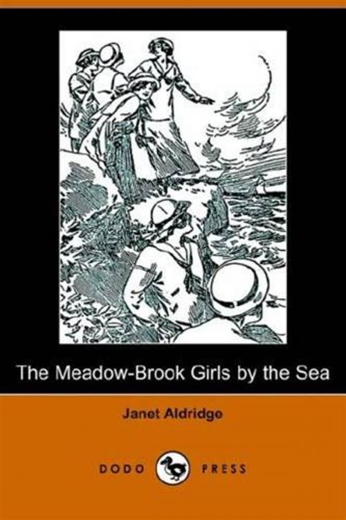 Cover of the book The Meadow-Brook Girls By The Sea by Janet Aldridge, Gutenberg