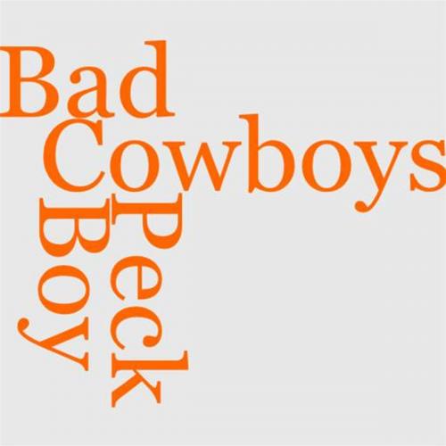 Cover of the book Peck's Bad Boy With The Cowboys by Hon. Geo. W. Peck, Gutenberg