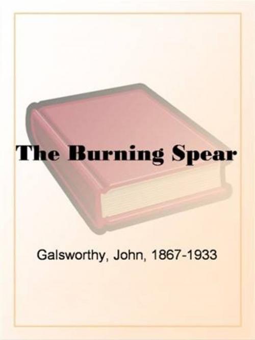 Cover of the book The Burning Spear by John Galsworthy, Gutenberg