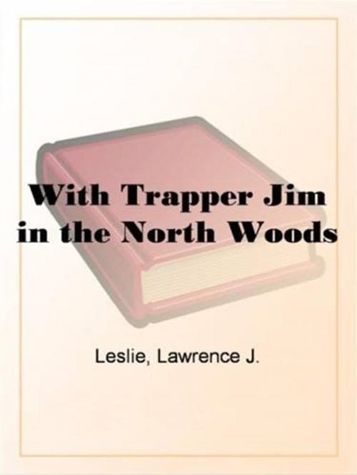 Cover of the book With Trapper Jim In The North Woods by Lawrence J. Leslie, Gutenberg